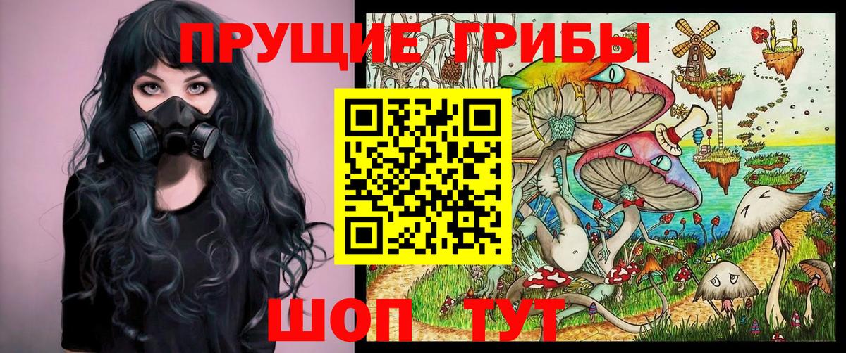 Светлоград  Псилоцибиновые грибы Psilocybine cubensis  Вход с VPN  Псилоцибиновые грибы Psilocybe 
