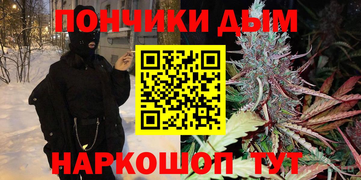 Конопля индика Светлоград